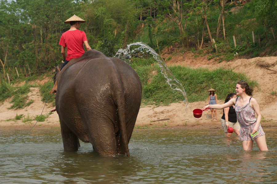 Participate with the Mahout to the bath of the elephants
