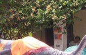 Cultural tours with Treasure Travel Laos in Luang Prabang