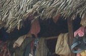 Visit the villages in the Golden Triangle