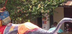 Cultural tours with Treasure Travel Laos in Luang Prabang